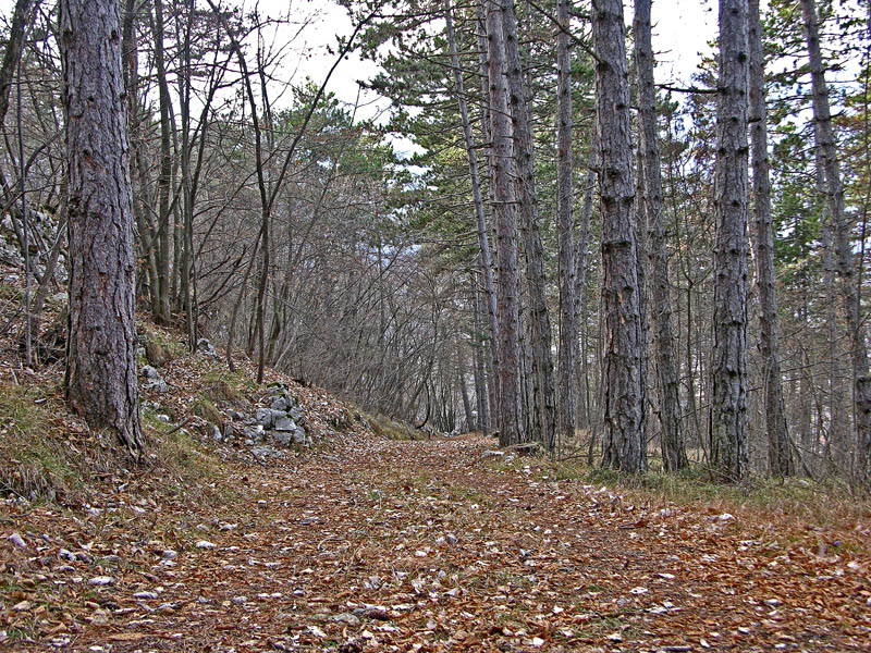 Zona Castelr de la Groa.